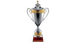 Премьер-лига вручит победителю дуэли «Сталь» — «Ворскла» «Трофей престижа»