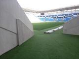 На стадионе «Черноморца» появился новый газон (ФОТО) 