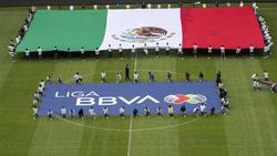 Официально. Чемпионат Мексики завершен досрочно