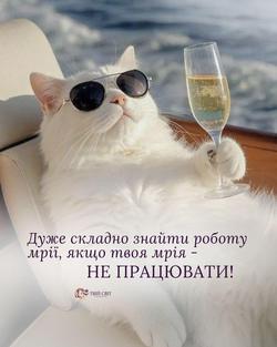 Динамівське серце це погано