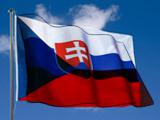 Чехия и Словакия могут создать единый чемпионат