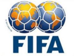 ФИФА признала 96% судейских решений на ЧМ-2010 справедливыми