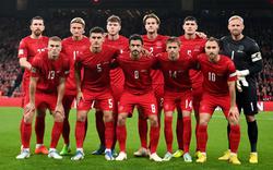The Danish national team has announced its bid for the 2022 World Cup