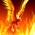 FeniX13