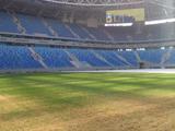 ФИФА надеется, что поле на стадионе в Петербурге «станет лучше»