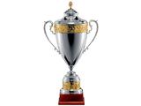 Премьер-лига вручит победителю дуэли «Сталь» — «Ворскла» «Трофей престижа»