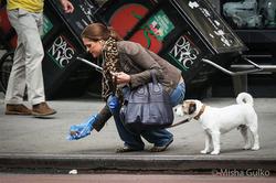 Королевский пример