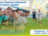Cборная Украины проведет открытую тренировку на «Днепр-Арене»