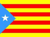 Фабрегас случайно поднял флаг независимой Каталонии