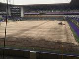 «Андерлехт» перед матчем с «Шахтером» меняет газон на домашнем стадионе