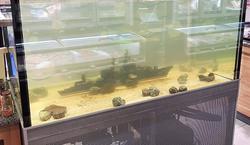 В Киеве появился аквариум с макетом крейсера «Москва» на дне