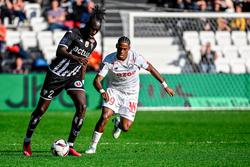 Angers - Lille - 1:0. French Championship, round 30. Match review, statistics