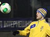 Андрей Ярмоленко: «Надеюсь и верю в успех в матчах против Франции»