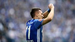 Коноплянка летит к «орлам»?