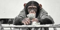 Ученые доказали, что деньги меняют даже обезьян:-)))