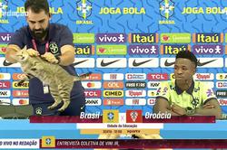 Бразильська конфедерація футболу може отримати штраф за інцидент із котом