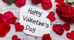 Шацких о Лобановском. Без срока давности...