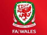 Уэльс хочет претендовать на проведение чемпионата мира-2026