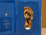 Стали известны имена номинантов на награду Golden Foot-2014