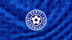 Эстонский футбольный союз отреагировал на высказывание Васильева: официальное заявление