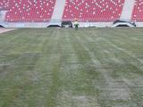 На стадионе в Варшаве стелют мерзлую траву (ФОТО)