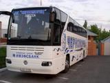 Автобус с «Динамо» подвергся нападению в Одессе