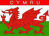 Der Kader von Wales ändert nach der WM 2022 seinen Namen