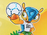 Родители новорожденных в Бразилии получат мячи ЧМ-2014