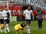 Футболисты «Коло-Коло» вышли на матч с собаками из местного приюта (ФОТО, ВИДЕО)