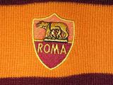 К 2014 году «Рома» построит новый стадион