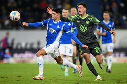 Darmstadt - Wolfsburg - 0:1. Deutsche Meisterschaft, 15. Runde. Spielbericht, Statistik