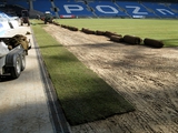 На польских аренах Евро-2012 — плохие газоны