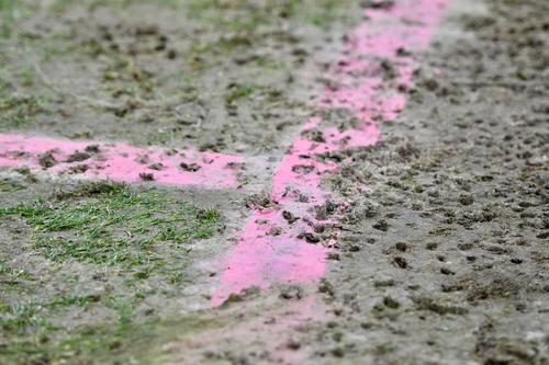 Джерело: найближчим часом можливе проведення термінової заміни газону на стадіоні «Динамо» імені Лобановського