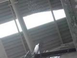 Перед матчем Евро на стадионе в Турции обвалилась крыша