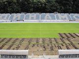 Новый газон стадиона «Динамо» — отечественного производства
