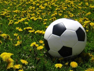 Ракурс. Весенние страсти