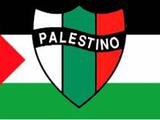 ФИФА рассмотрит требование Палестины отстранить Израиль от футбола 