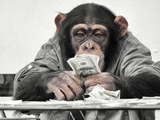 Ученые доказали, что деньги меняют даже обезьян:-)))