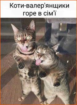 Таємниця вкрита туманом з уаф