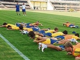 Евро-2009: от сборной Украины ждут "золота"