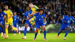 Франция - Украина. Послесловие...