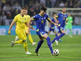 Bosnia and Herzegovina defender: "Everything was good until the 80th minute...".