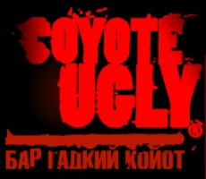Бар «Гадкий Койот»  