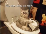 Шо вони курять?