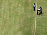 Перед матчем Англия — Италия в Манаусе красят траву (ФОТО) 