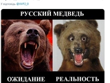 Янина Соколовская: " Россия - облезлый медведь, к которому противно даже подходить!..." (видео)