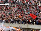 Два футболиста погибли в ходе беспорядков в Египте