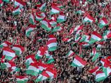 Справжній цирк! Угорські фанати закликають Європу до бойкоту матчів з Україною після суддівства у вчорашньому матчі
