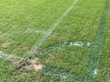 «Мальме» уменьшил размеры поля перед игрой с «Реалом» (ФОТО)