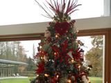 Болельщики «Эвертона» раскритиковали Кумана, нарядившего новогоднюю елку красными цветами (ФОТО)